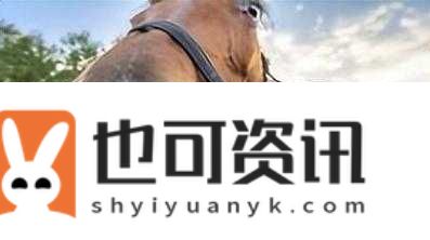 人马畜禽company：一家专注于动物相关领域的独特企业