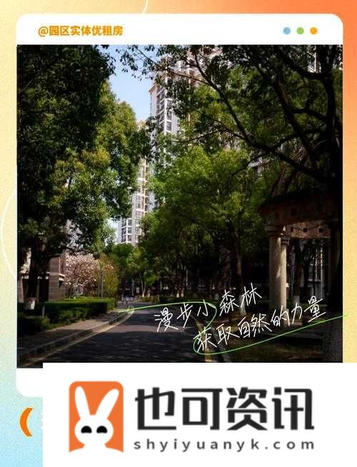 又大又长又租的：探索其独特魅力与无限可能